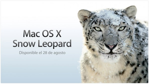 Snow Leopard